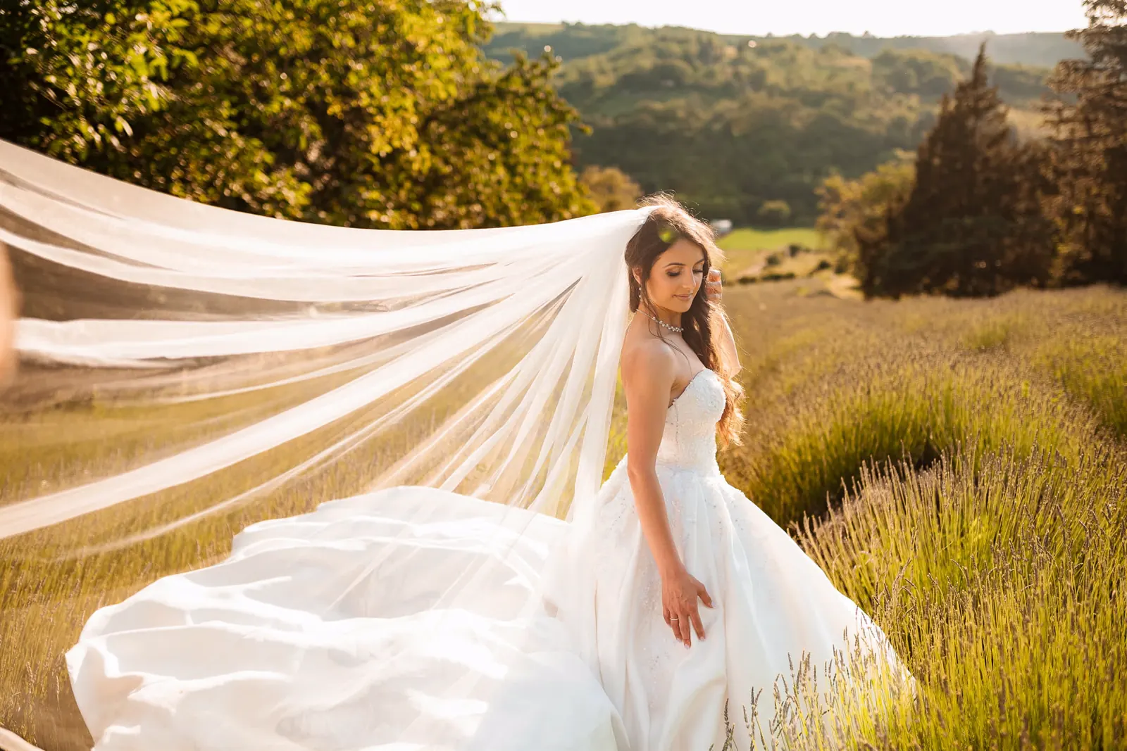 Wedding portfolio 99